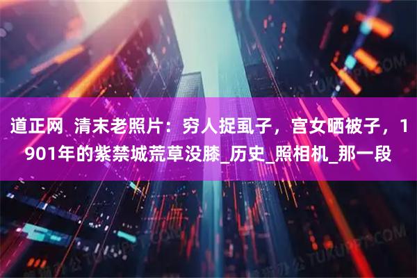 道正网  清末老照片：穷人捉虱子，宫女晒被子，1901年的紫禁城荒草没膝_历史_照相机_那一段