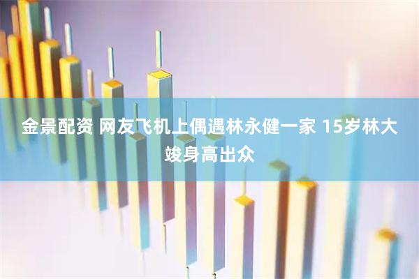 金景配资 网友飞机上偶遇林永健一家 15岁林大竣身高出众