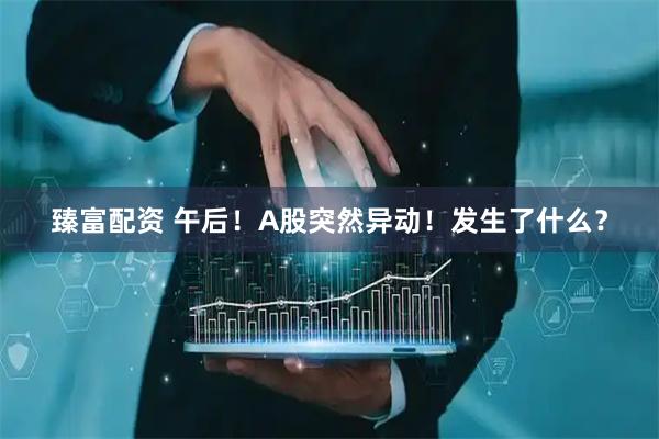 臻富配资 午后！A股突然异动！发生了什么？