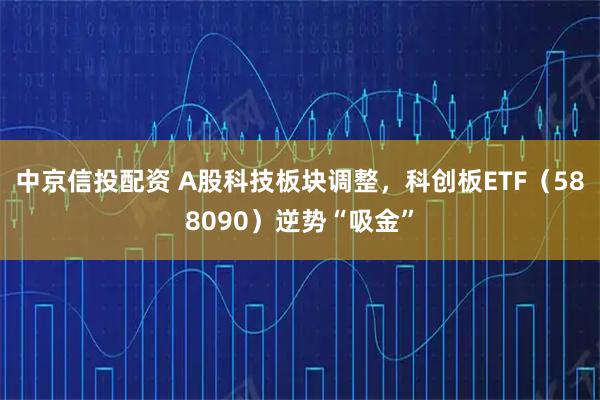 中京信投配资 A股科技板块调整，科创板ETF（588090）逆势“吸金”
