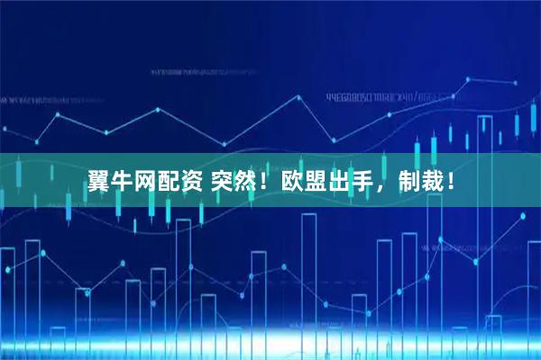 翼牛网配资 突然！欧盟出手，制裁！