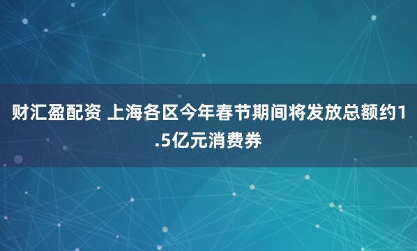 财汇盈配资 上海各区今年春节期间将发放总额约1.5亿元消费券